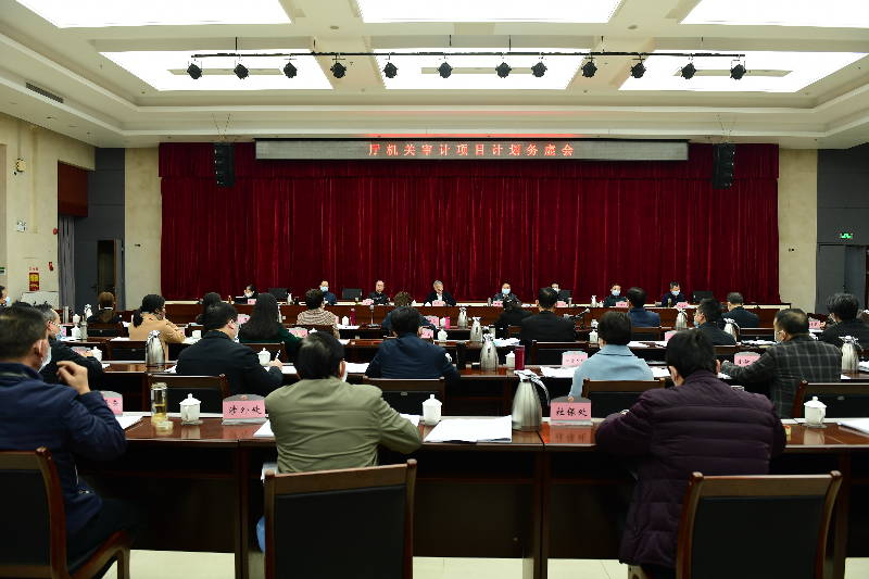 广东省审计厅召开2023年审计项目计划务虚会.png